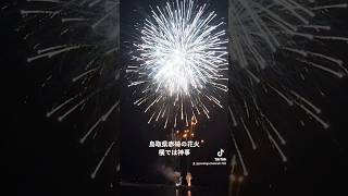 【ショート】鳥取県赤碕のお祭り　花火と神事が隣り合わせ！　#shorts #赤碕#japantravel #japan #tottori#fireworks #japanculture