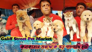 Galiff Street Pet Market kolkata | Dog Market In Kolkata | Dog Price | Galiff Street Kolkata | Dogs