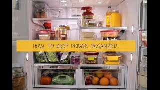 整理收纳控必看之冰箱篇 | How to Keep Your Fridge Organized | Oraganizing tips |