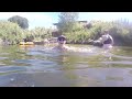 swimming at suikerbossie guestfarm cederberg