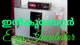 Egg's Incubator - ഇൻകുബേറ്റർ