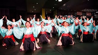 [4K]京炎 そでふれ！京小町　龍馬よさこい2017 2日目 JR京都駅