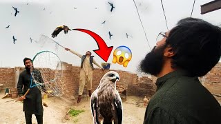 Golden eagle ko trap kr lea 😱| Mini zoo