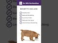 Dr. Bill's Pet Nutrition Canine Optimum Skin & Coat | Supplement for Dog's Skin and Coat