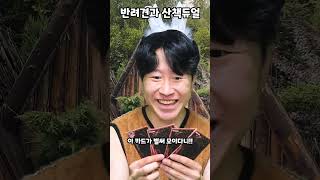 반려견과 산책듀얼