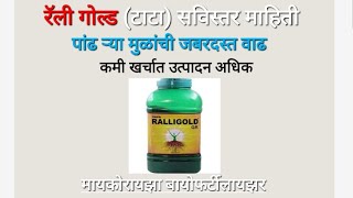 रॅली गोल्ड टाटा || Ralligold Tata || मायकोरायझा जैविक खत  || #पांढरी मुळी जबरदस्त वाढ सविस्तर माहिती