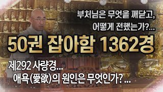 잡아함경... 1725회, 제292 사량경... 애욕(愛欲)의 원인은 무엇인가?...