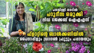 ഫ്ലാറ്റിന്റെ ബാൽക്കണിയിൽ പറുദീസ ഒരുക്കി ലി‍ഡ ജേക്കബ് ഐഎഎസ് | ബാൽക്കണിലെ അത്ഭുത കൃഷിയിടം