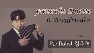 [팬플룻 연주] | DAJORI | 6. Bergfrieden - [Panflute] 팬플룻 연주자 김주형