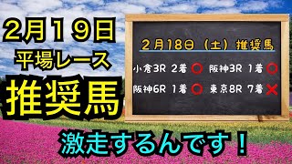 【競馬】２月19日平場レース推奨馬