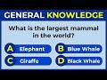 50 General Knowledge Questions! How Good is Your General Knowledge? #challenge 3
