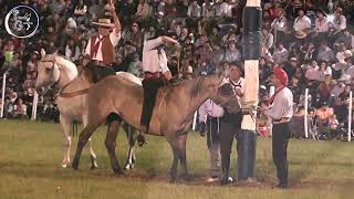 Jineteada en Clina en Diamante Dia Lunes 2024 (Entre Rios)