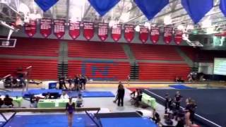 Kailey Miller level 10 state vault