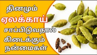 தினமும் ஏலக்காயை மென்று சாப்பிடுவதால் கிடைக்கும் நன்மைகள் | health benefits of eating cardamom tamil