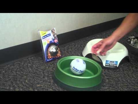 How to Stop Your Dog From Gulping Food How to Stop Your Dog From Gulping Food