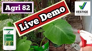 Vestige Agri 82 Live Demo | वेस्टिज एग्री 82 लाइव डेमो