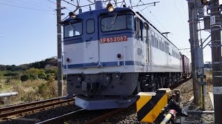 JR貨物 爆走通過 遅れ5087レ EF65-2087[新]号機＋コキ20B 東海道本線 2014/12/07