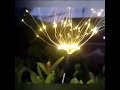 Solar Garden Firework Light