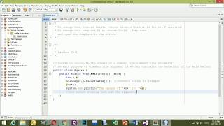 Java Program to pass Value as command Line arguments - from netbeans