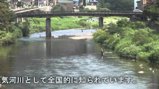 アユ釣り人気河川（小国川）