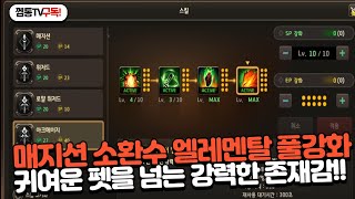 [프리스톤테일M] 매지션도 정예사냥이 가능해졌다! 풀강화 파이어 엘레멘탈 정예사냥 효능 실험