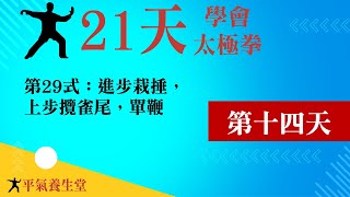 第14天，「21天學會太極拳」，鄭子37式太極拳。