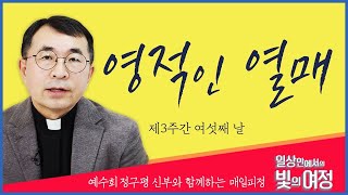 영적인 열매 [일상 안에서의 빛의 여정] 제3주간 여섯째 날 | 예수회 정구평 신부 | 로욜라의 이냐시오 성인