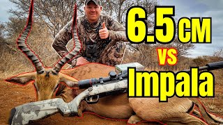 6.5 Creedmoor vs Impala [6.5cm BIG ENOUGH???] - Big Game Hunting Adventures