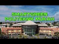 Dokumentari PMU 2024 - Polygreen