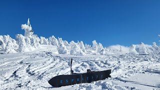 スノーモト/スノースクート | 八甲田山フォレストコース  | 青森県