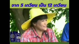 ตั้งแต่ใช้ 4Tree ปลดหนี้ ธ.ก.ส. 094-4683556