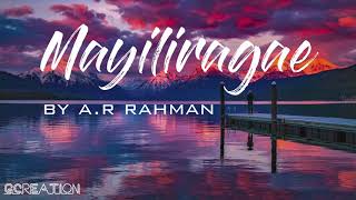 Mayiliragae Full Song Lyrics || AR Rahman || Anbe Aaruyire || WhatsApp Love Status