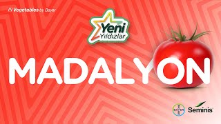 Yeni Yıldızlar: Madalyon