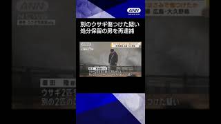 【ニュース】ウサギを蹴りはさみで傷つけたか 男を再逮捕 広島#shorts