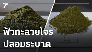 เตือนฟ้าทะลายโจรปลอมระบาด | 23-07-64 | ข่าวเช้าหัวเขียว