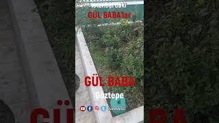 İSTANBUL'DAKİ GÜL BABA'LAR #istanbul #gülbaba #tarih #türbedelisi #türbe #shortvideo #evliya