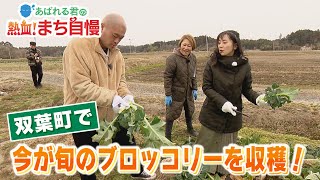 あばれる君の熱血！まち自慢#103（大熊・双葉④　今が旬のブロッコリーを収穫！）