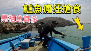 咬瘋了七星鱸瘋狂搶食，這盛況台灣本島釣魚遇不到啊！馬祖北竿船鱸EP1 #赫馬士#馬祖釣魚#路亞船拋