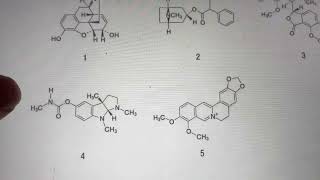 現役薬剤師が第107回薬剤師国家試験を解いてみた！！