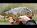 pellet fishing explained match masterclass