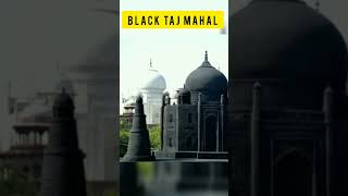 എന്താണ് കറുത്ത താജ് മഹൽ / black taj mahal / #factsmalayalam #shorts #viral