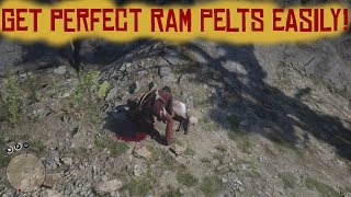 RDR 2 | Get perfect Ram Pelts easily! | Red Dead Redemption 2