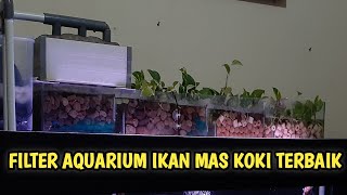 Filter tebaik aquarium mas koki