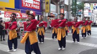 九州がっ祭2017　周防紅華連（新市街～下通会場）土佐の粋　2回目