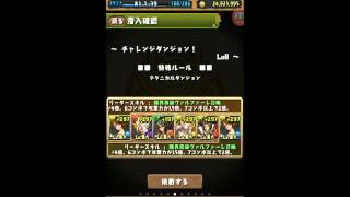 【パズドラ】　チャレンジダンジョン　Lv8　ユウナ