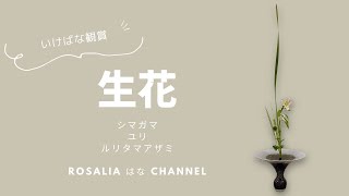 いけばな鑑賞/東生花ゼミ『新風体』夏【いけばな池坊 Ikebana】【flower】 🌸