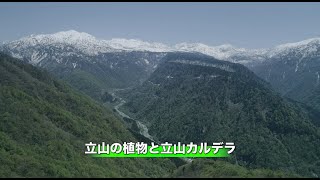 【講義2-3】立山の植物と立山カルデラ