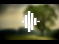 Awesome Loading Screen Animation Using HTML & CSS