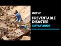 Mass deaths in Libya could have been prevented with weather agency: UN ambassador | ABC News