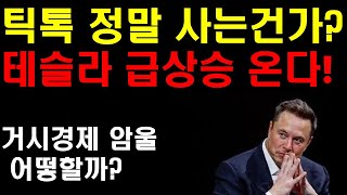 틱톡 정말 살수도 있다! 머스크와 트럼프의 계획속에 있나? 테슬라 갑자기 급상승 온다! 조정올때마다 사모아야 한다! 자율주행이 정말 생명을 구한다! 사람보다 안전한 운전을 보여!